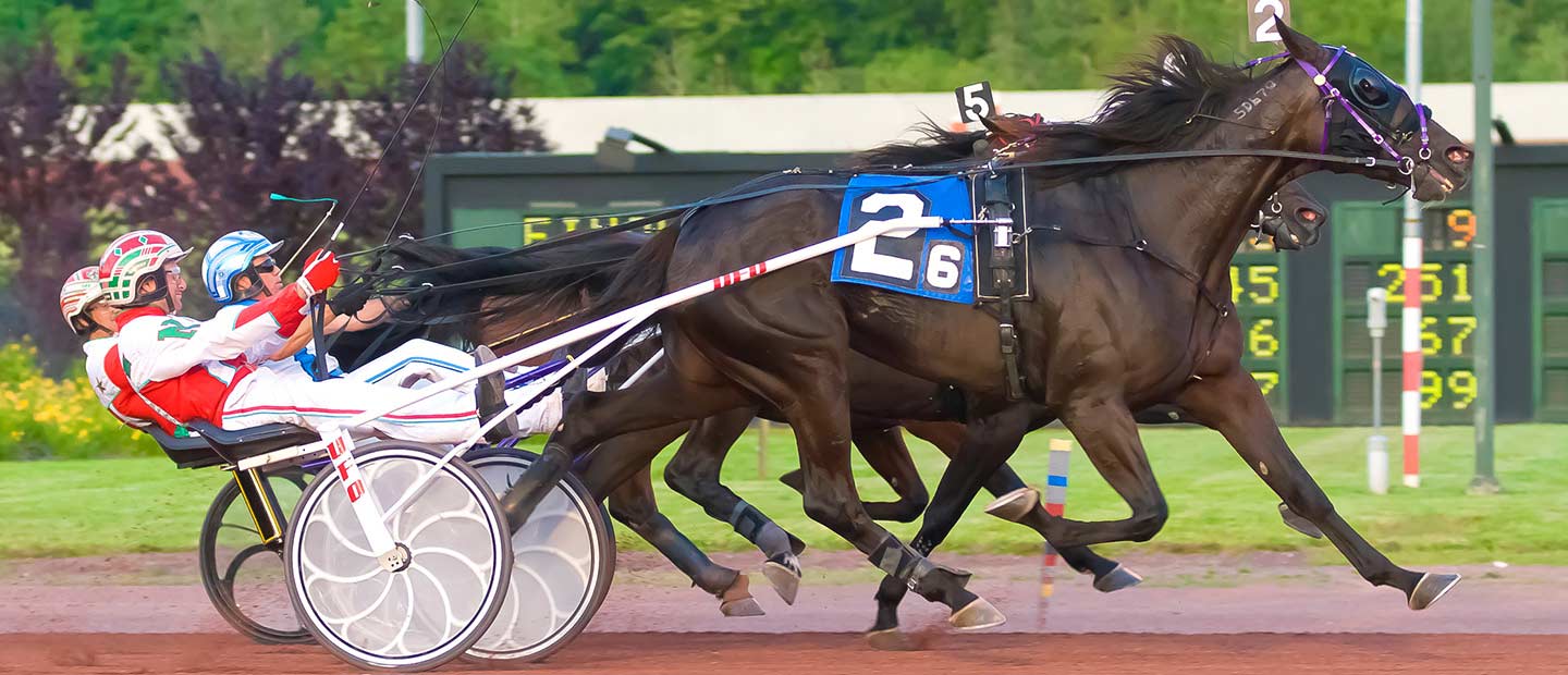 Pocono Downs Entries: Your Ultimate Guide to Todays Races and How to Place Bets Like a Pro