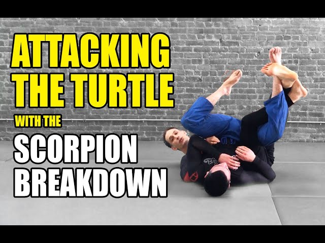 Turtle Position Jiu Jitsu for Big Guys: Does It Work? (Simple Breakdown)