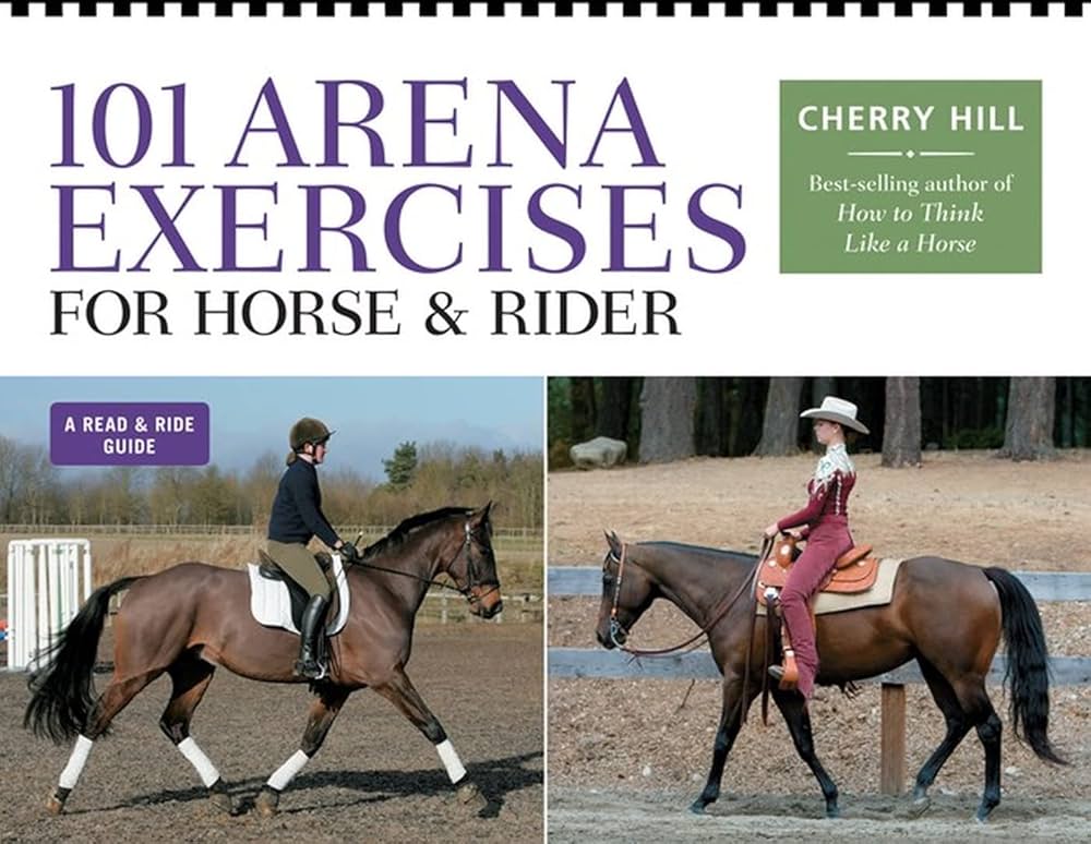 Horse Racing Workouts 101: A Beginners Guide to Training