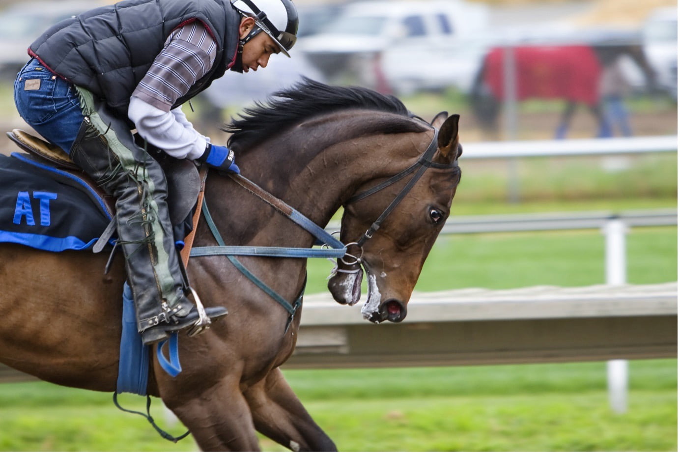 Your Guide to Horse Racing Records and Legendary Moments