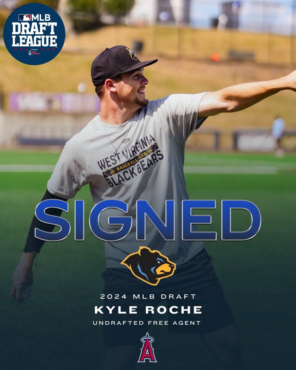 kyle roche baseball: why is this young player making waves right now?