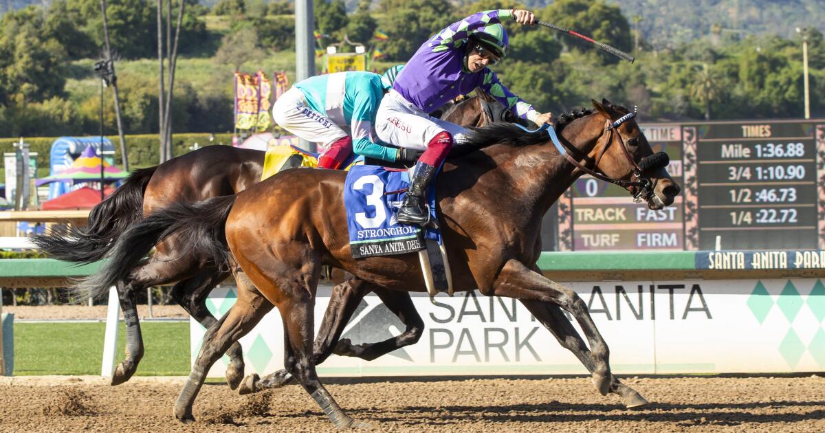 Phil DAmato horse training secrets (Discover the methods behind his successful racing career)