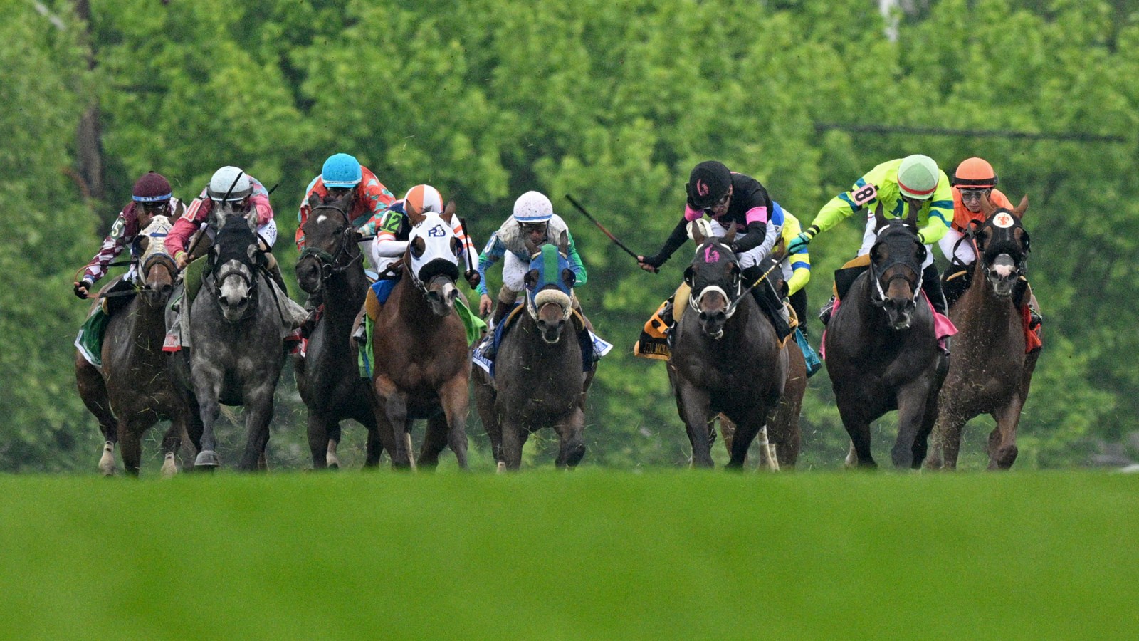 Get the Latest Pimlico Race Results Here - Fast and Easy!