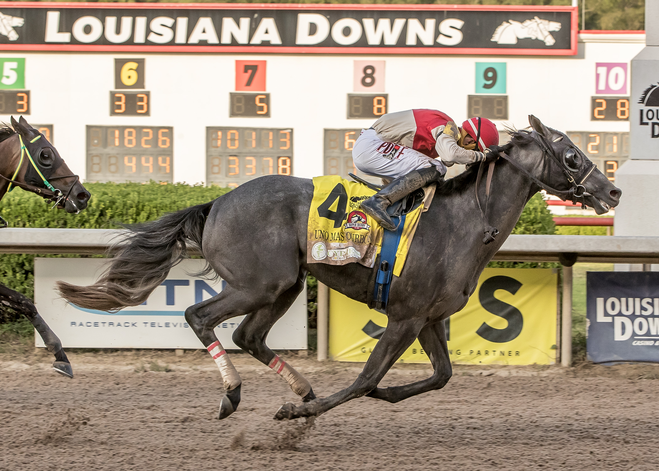 Louisiana Downs Race Results: Check Who Won Today (Latest Updates & Highlights Inside)