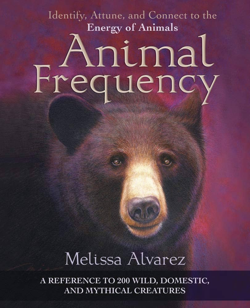 Recognizing and Reporting Horse Bestial: Protecting Animals
