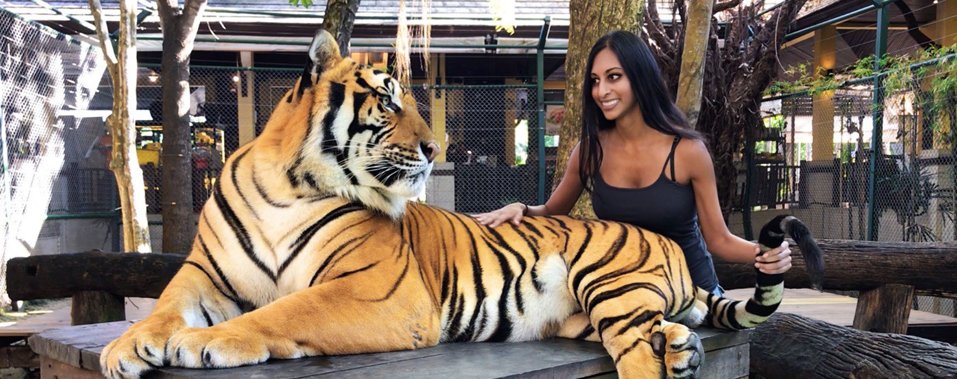 Tiger Club membership: Is it worth the hype for you?