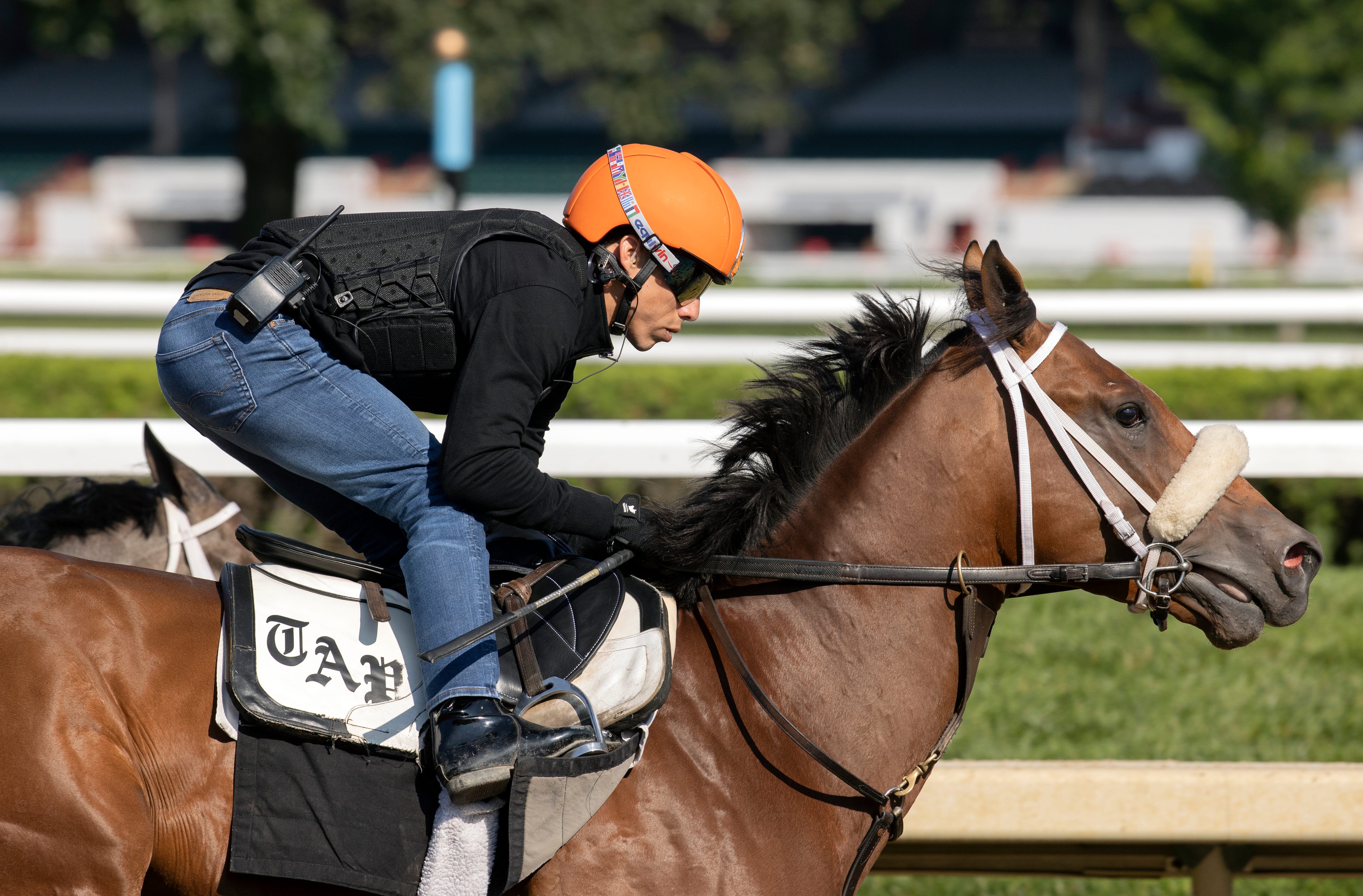 Far Bridge Horse Training: How to Get the Best Results