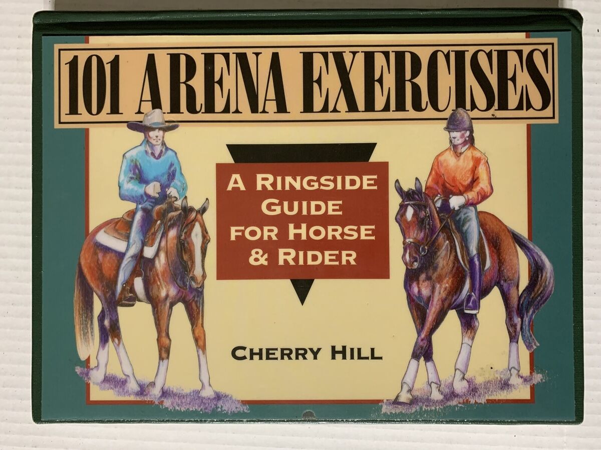 Horse Racing Workouts 101: A Beginners Guide to Training