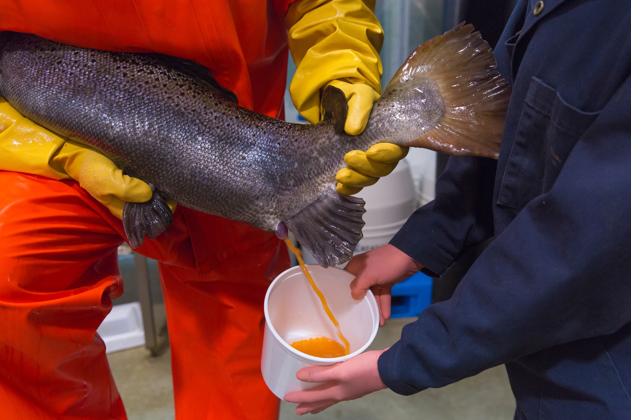 Sean Salmons impact: Inspiring the next generation.