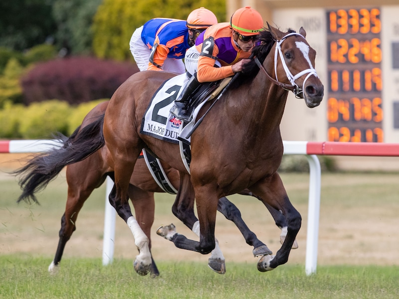 Penn National Race Results: Winners, Payouts, and More