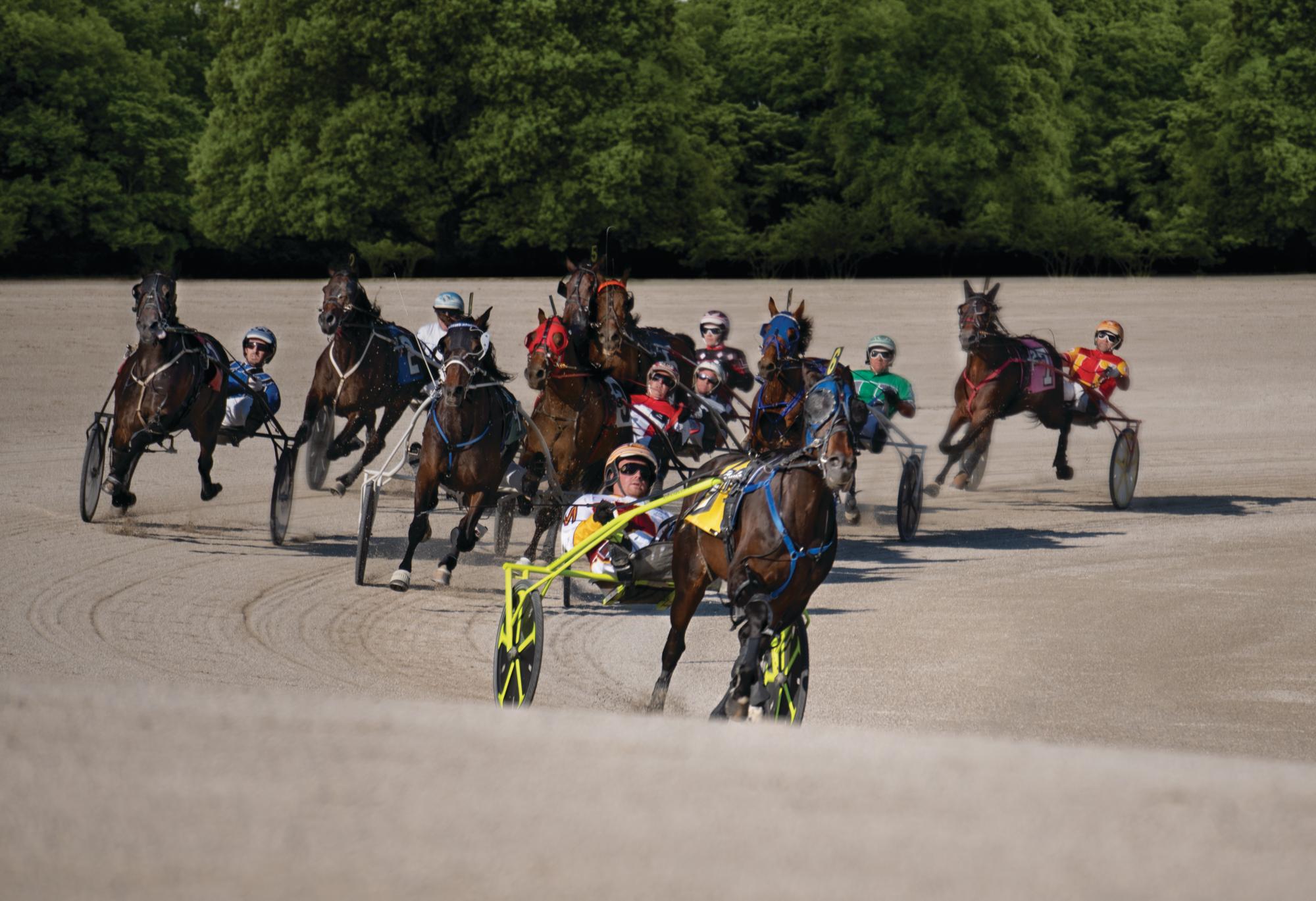 Northfield Park Entries and Results: Your One-Stop Shop for Race Day Details