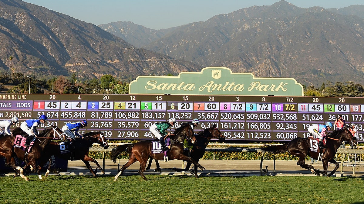Santa Anita Scratches for Today: Horses Withdrawn from Races