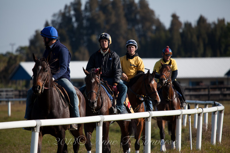Payson Park Training Center: The insiders guide for horse racing fans!