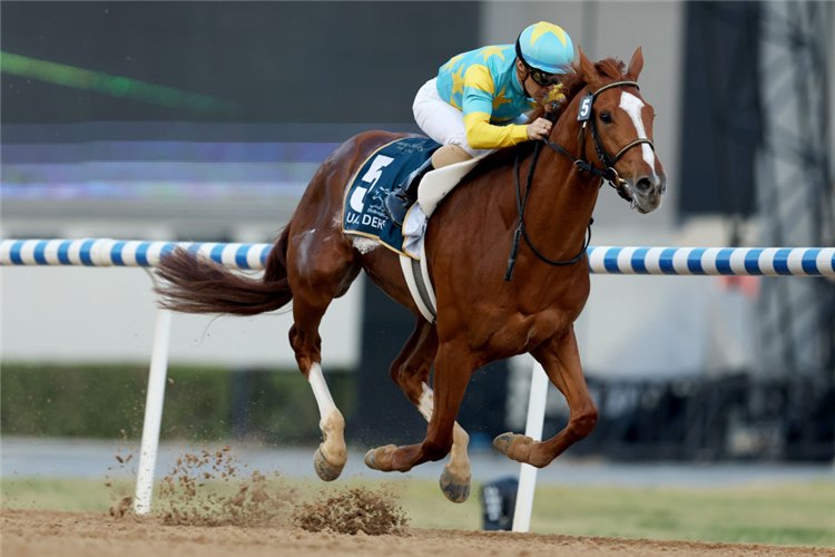 Derma Sotogake Horse: Your Easy Guide to this Champion Racehorse
