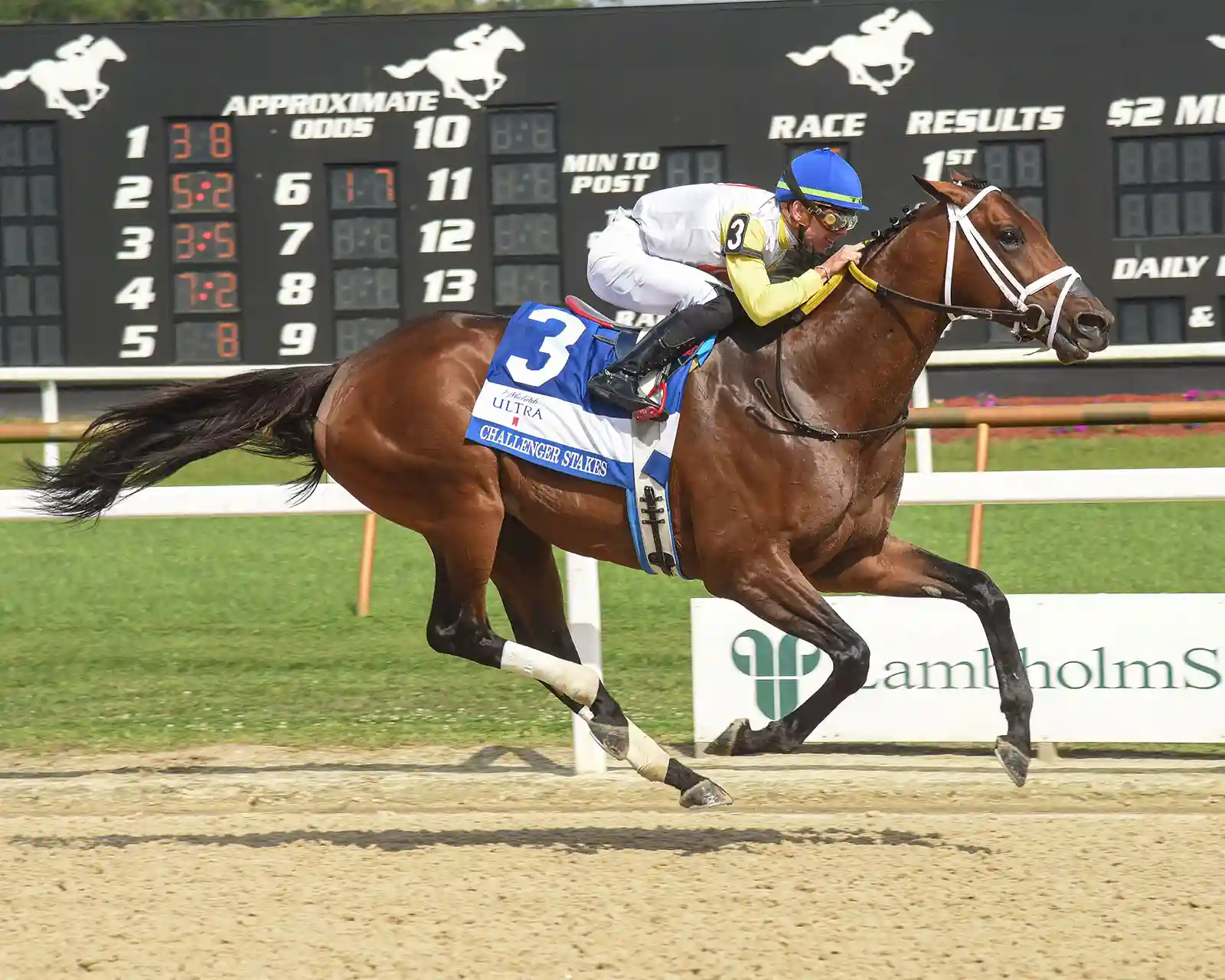 Get Tampa Bay Downs Entries: Whos Running in Todays Races?