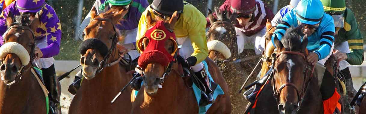 Charles Town Races Entries: Todays Full List & Quick Picks
