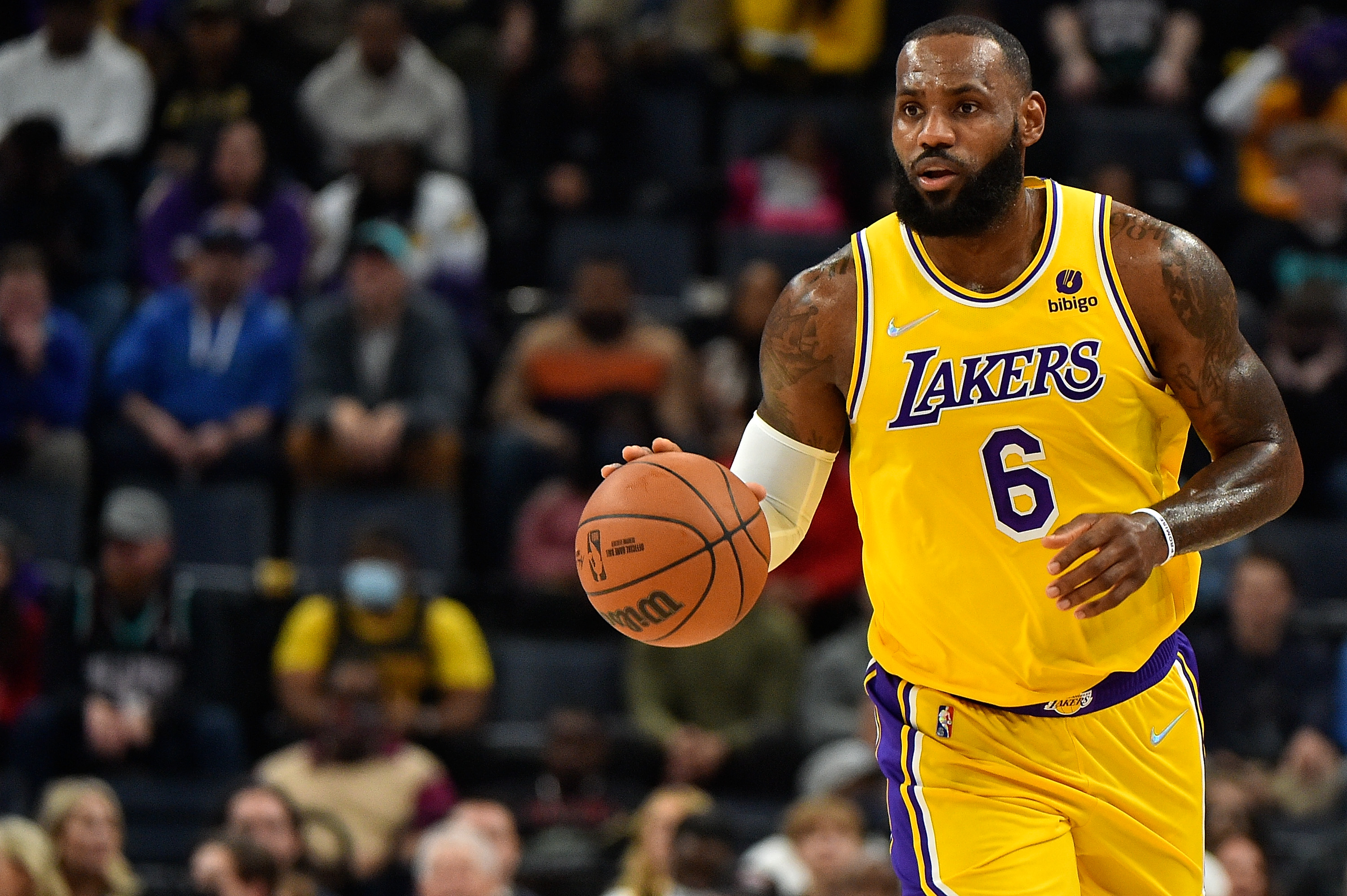 Find the Lakers Game Today Channel: Plus Pre-Game Analysis