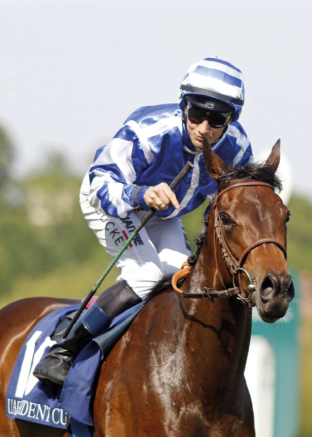 The Charm of a Pretty Mischievous Horse: Owners Share Stories