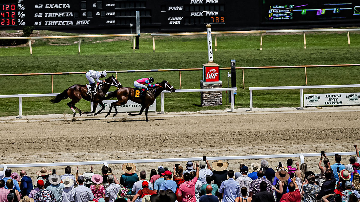 Get Tampa Bay Downs Entries: Whos Running in Todays Races?