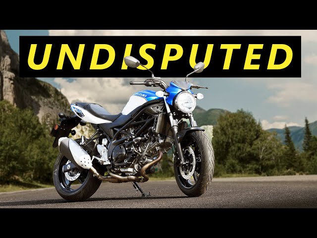 sfv 650 suzuki: Is it the best bike for you (pros and cons inside)