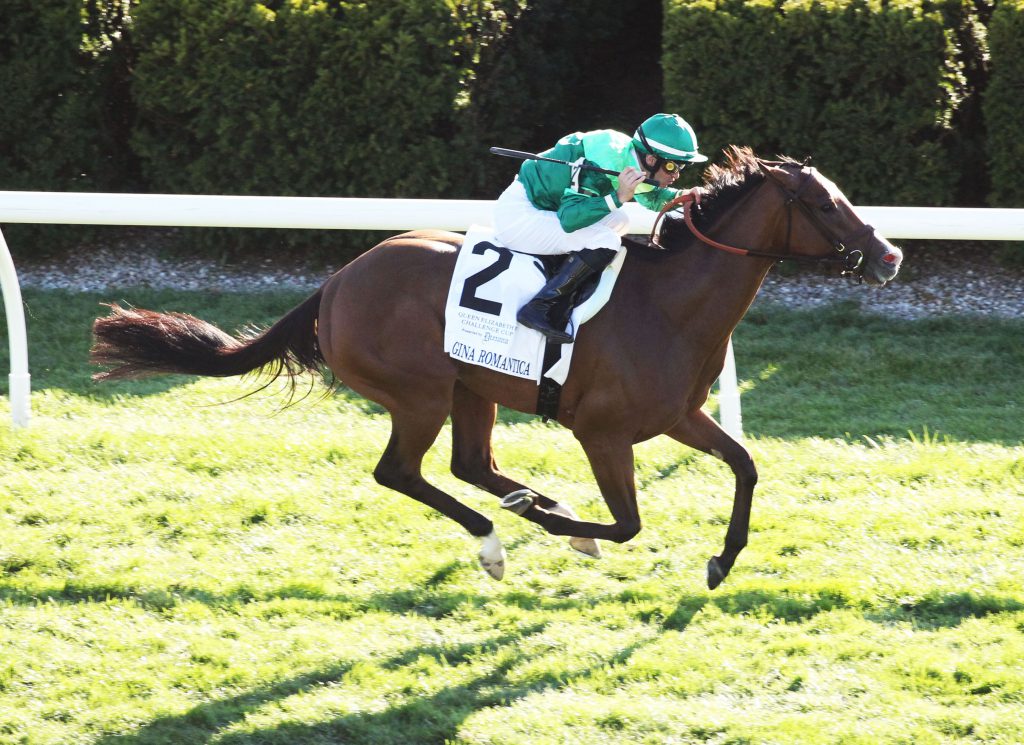Gina Romantica Horse: Pedigree and Breeding Info (Discover Her Winning Bloodline)