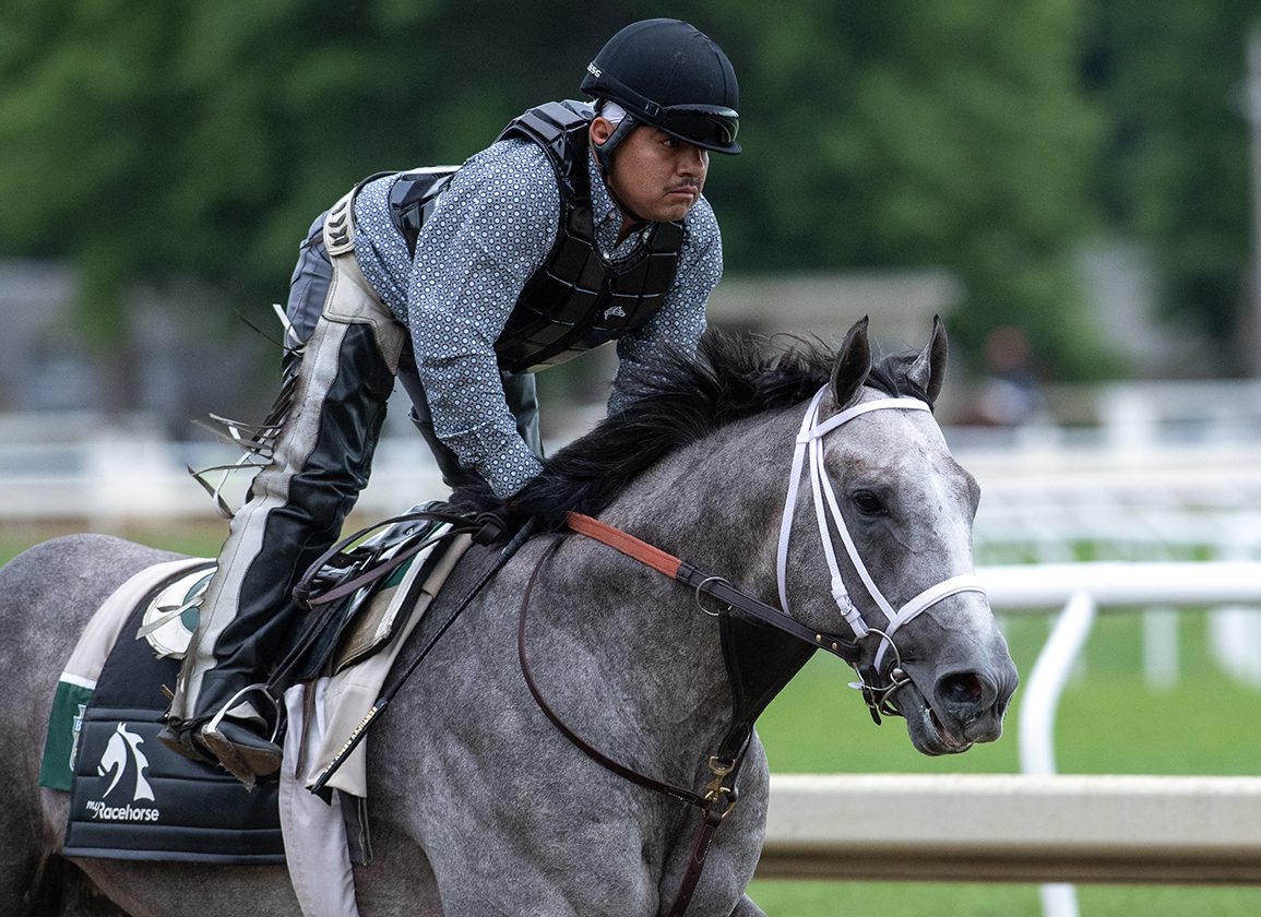 Seize the Gray Jockey: Tips and Tricks for Success in Your Business