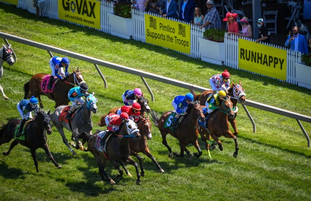 Get the Latest Pimlico Race Results Here - Fast and Easy!