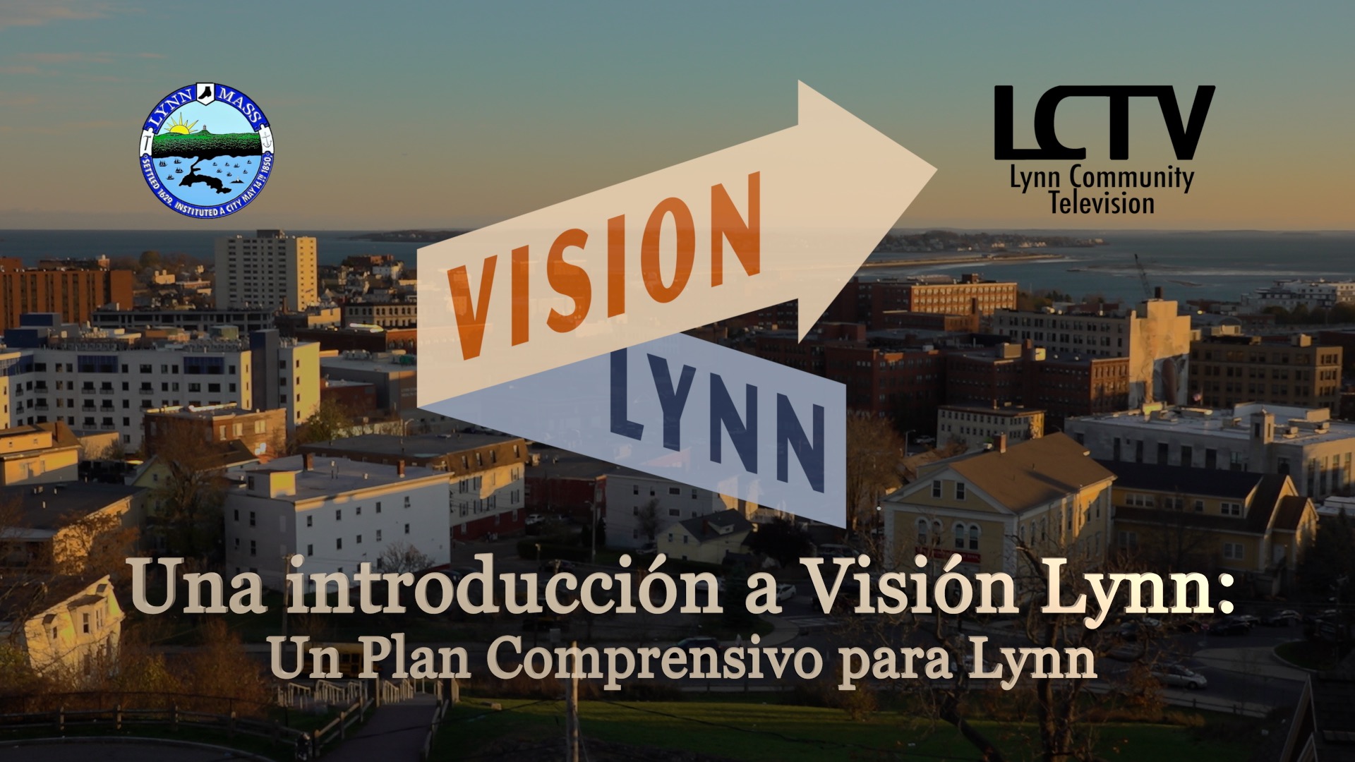 Lynn Vision Review: A Deep Dive into Its Capabilities