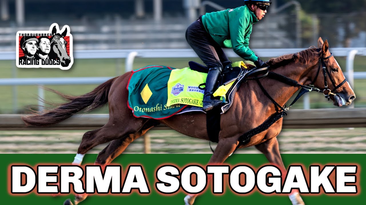 Derma Sotogake Horse: Your Easy Guide to this Champion Racehorse