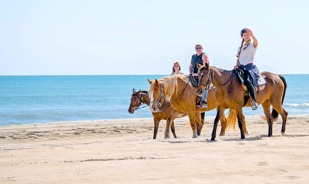 Speed Boat Beach Horse Riding: A Fun Beach Adventure