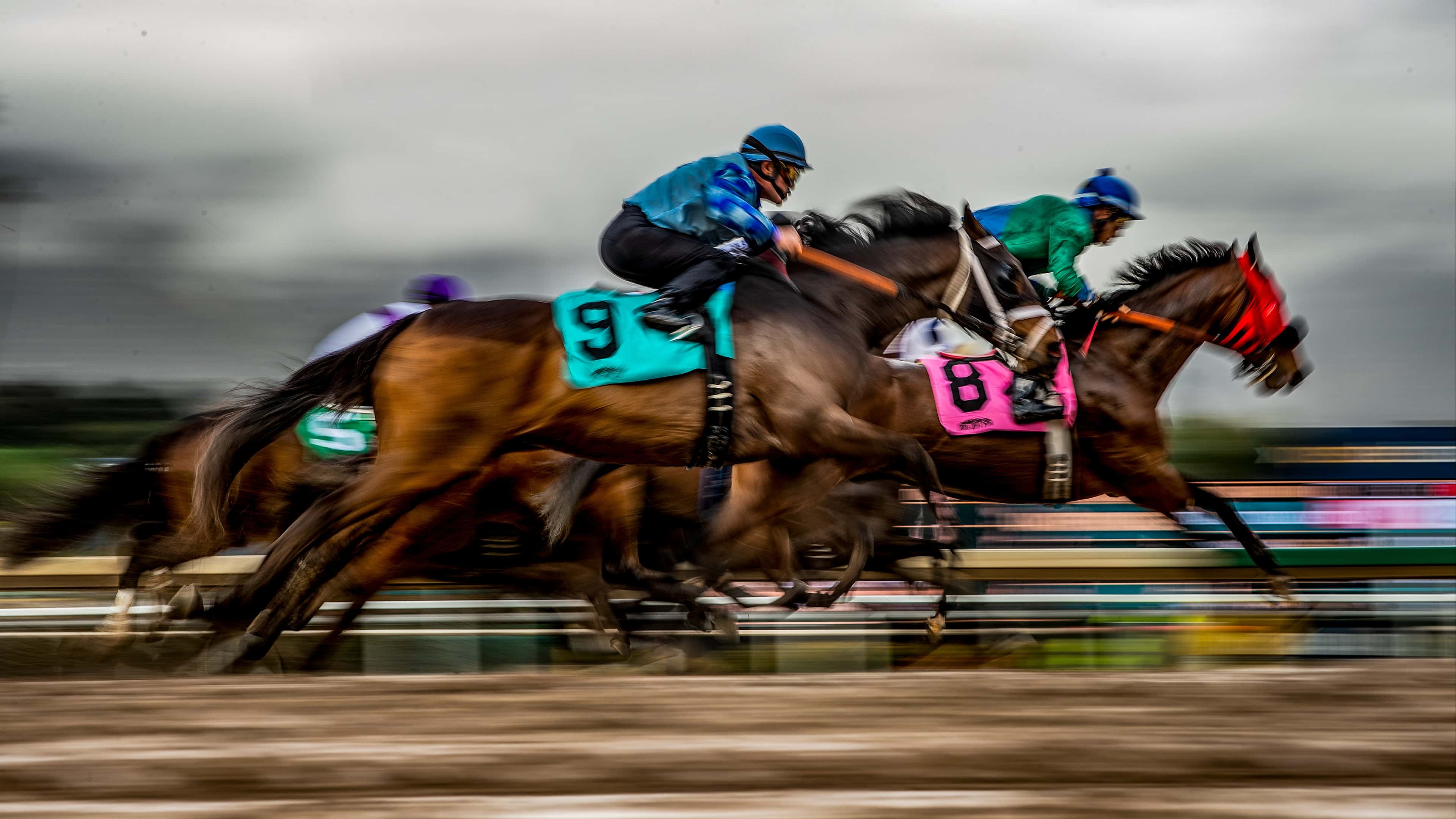 Results Santa Anita Race Track, Quick and Easy Way to Check the Winners