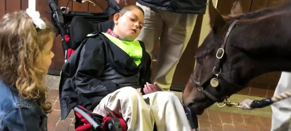 Codys Wish Horse: A Touching Story of Hope and Inspiration