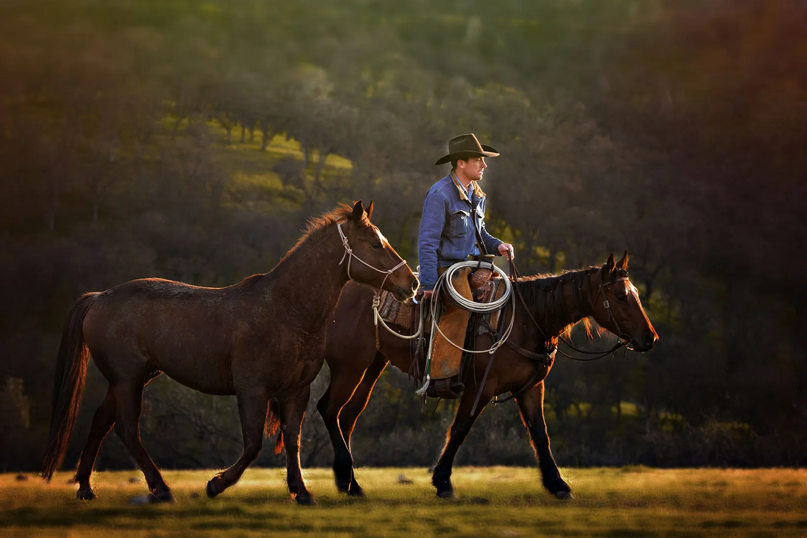 Want to Learn Cowboy Cal? Check Out These Resources and Get Going!