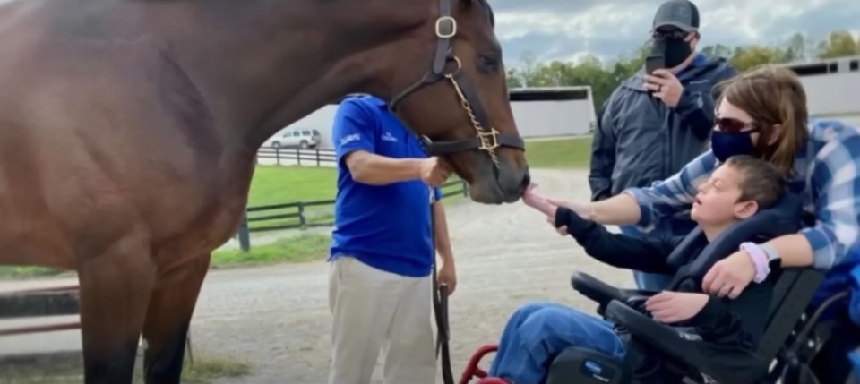 Codys Wish Horse: A Touching Story of Hope and Inspiration
