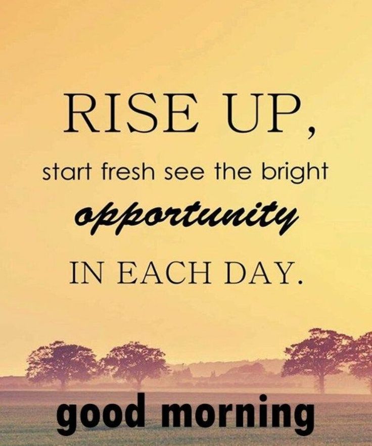 Good Morning Team Quotes to Inspire Everyone (Start the Day with Positivity!)