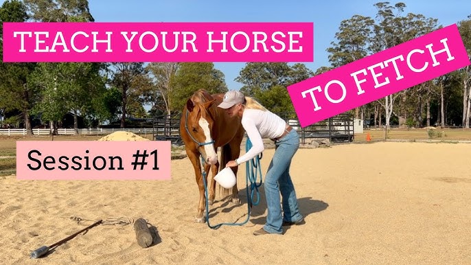 Lara with a Horse: Tips and Tricks for Beginners!