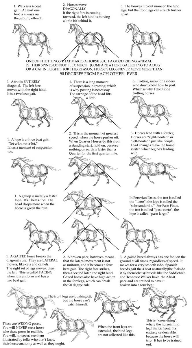 Bullet Charts About Horses Explained: A Quick and Easy Tutorial