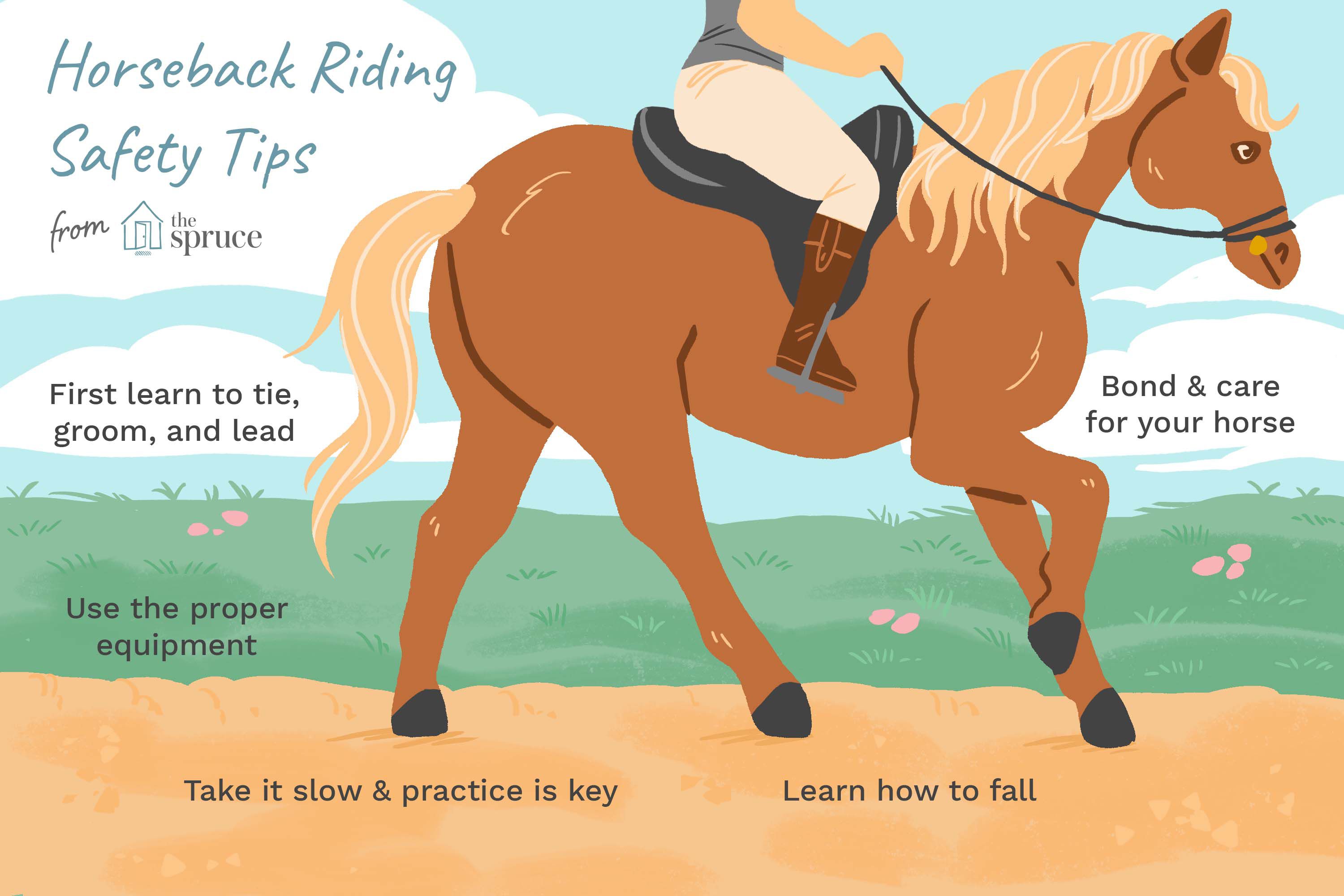 How to get into horse riding? Beginners guide to start your horseback riding journey