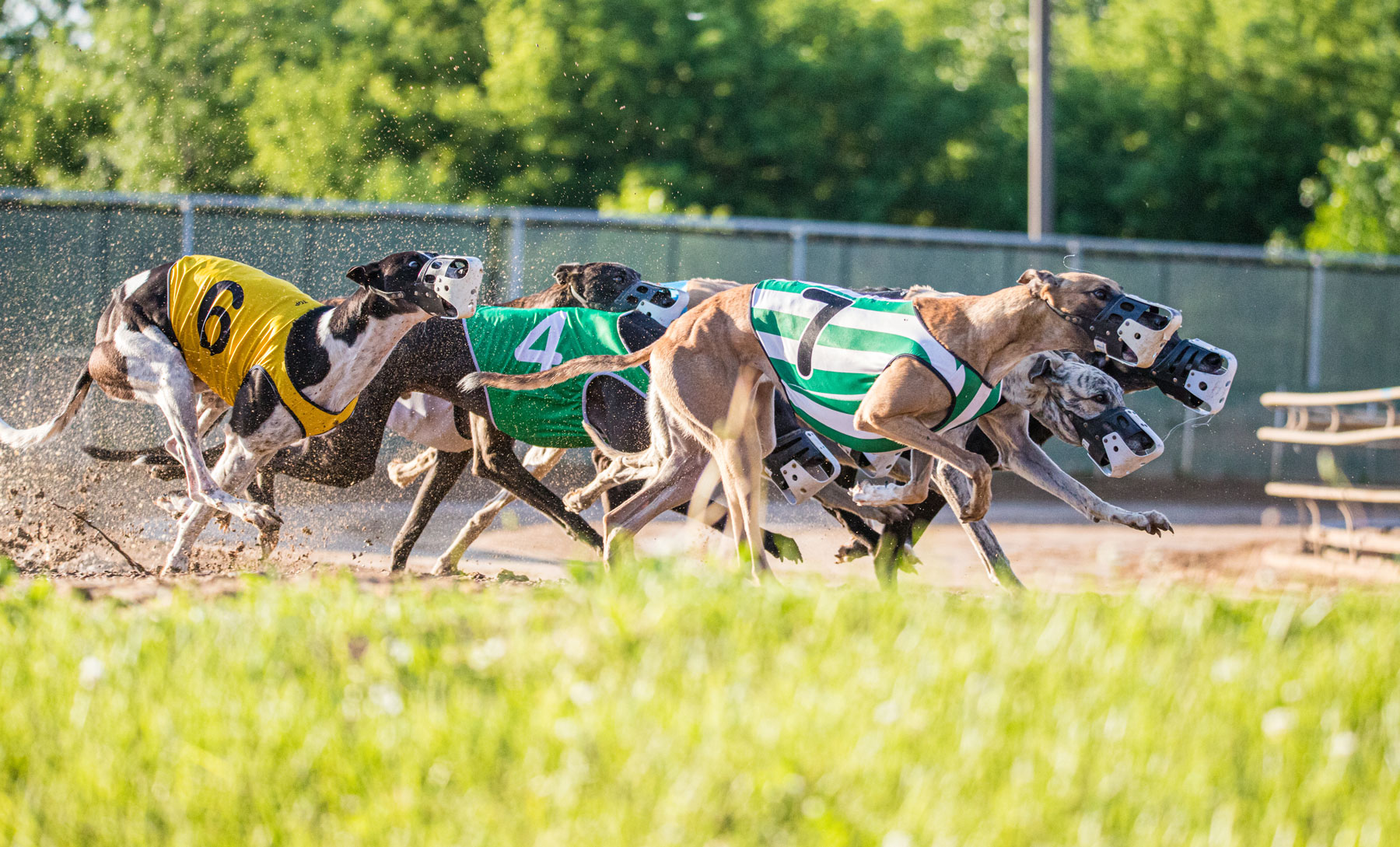 Wheeling Downs Results Today: Stay Updated with Our Easy Guide