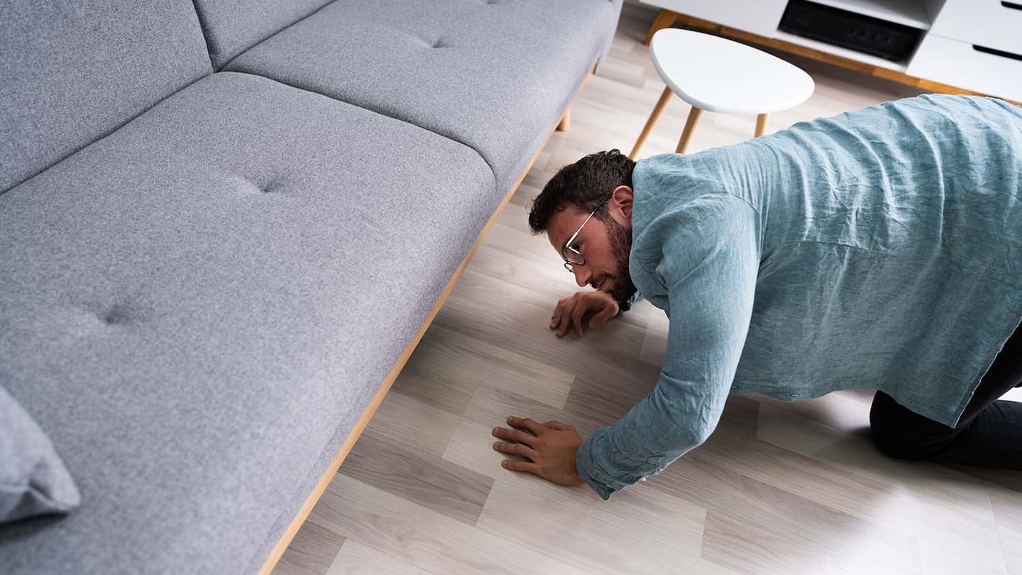 Find Lost Items! Looks Behind Couches and Curtains NYT Tips.