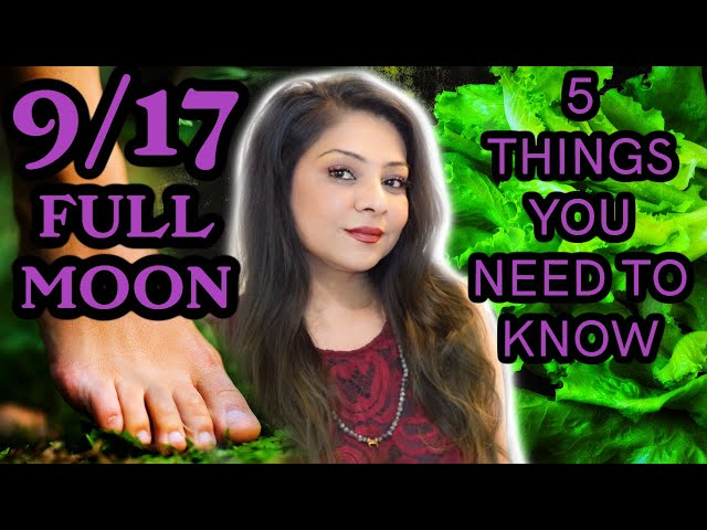 Sheethal Goutham: All You Need to Know(Simple Guide for Beginners)