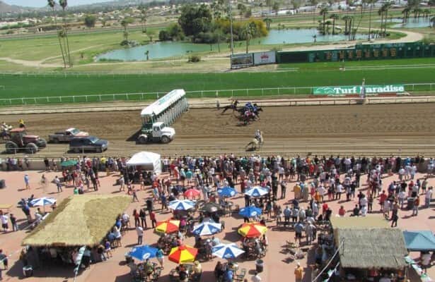 Looking for Turf Paradise Race Track Entries? Get All the Details and Insider Tips Here!