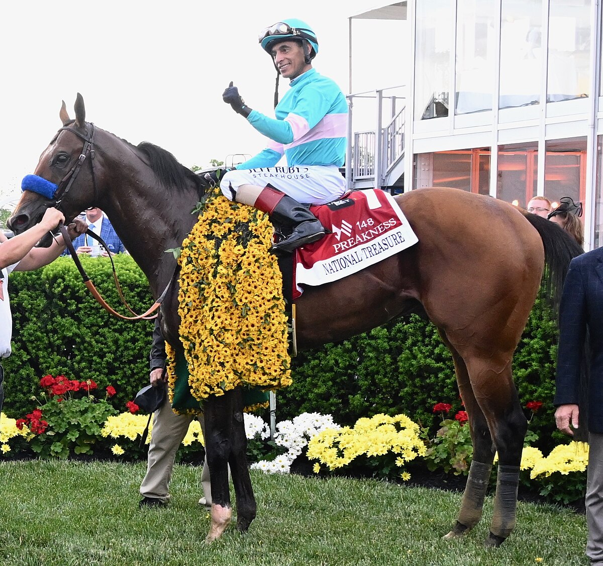 national treasure horse: Is it a real thing or just movie magic? Lets find out together now!