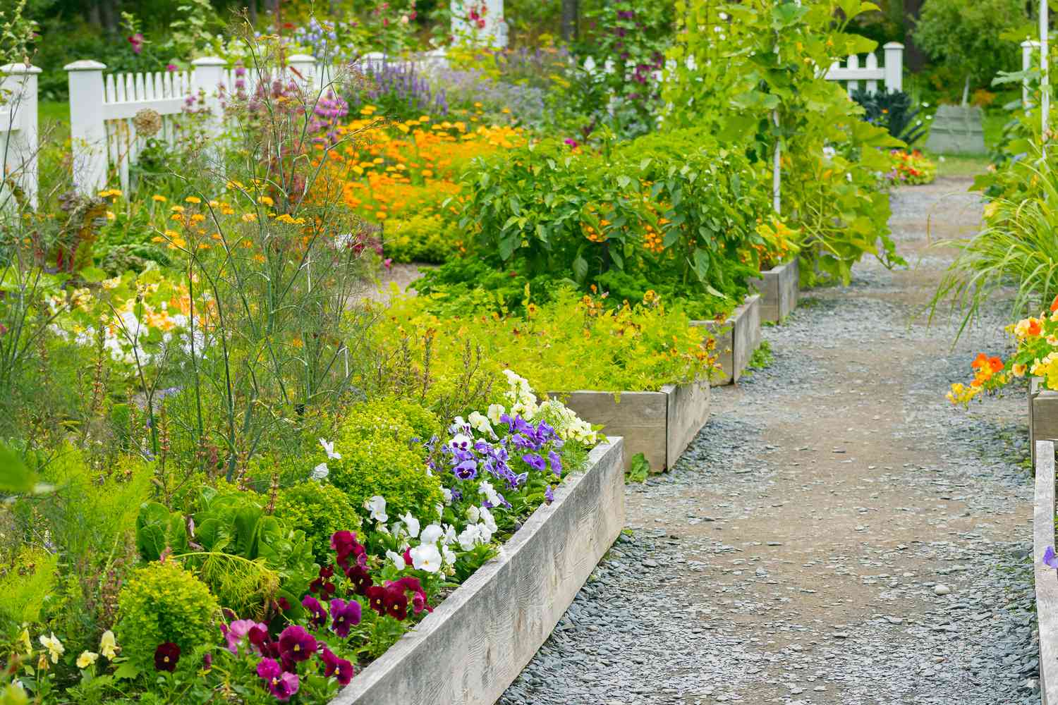 Ways to plant deep within for best results: Follow these expert tricks for your garden!