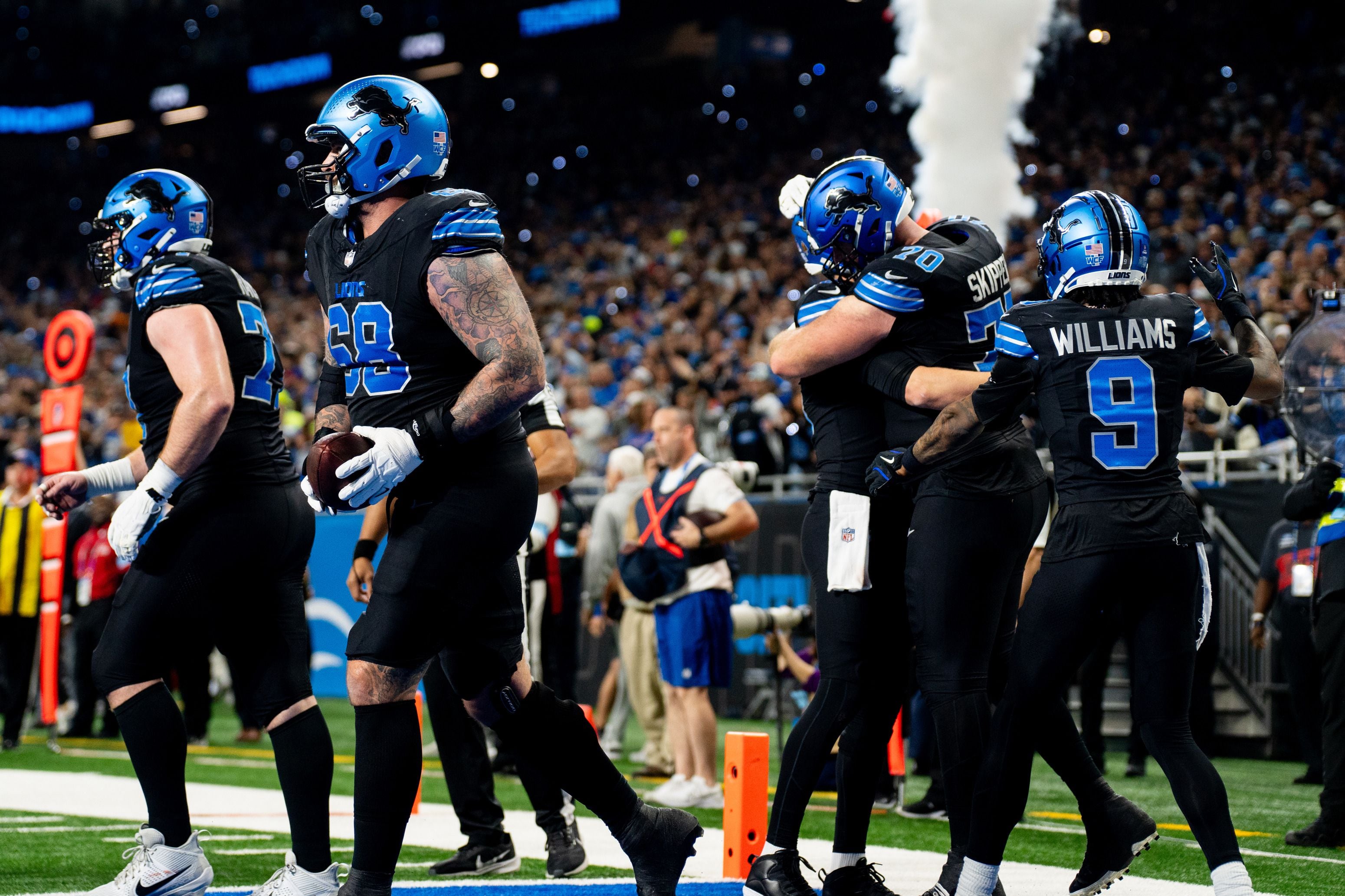 What Seed Are The Lions: Simple Explanation for Everyone to Grasp Now!