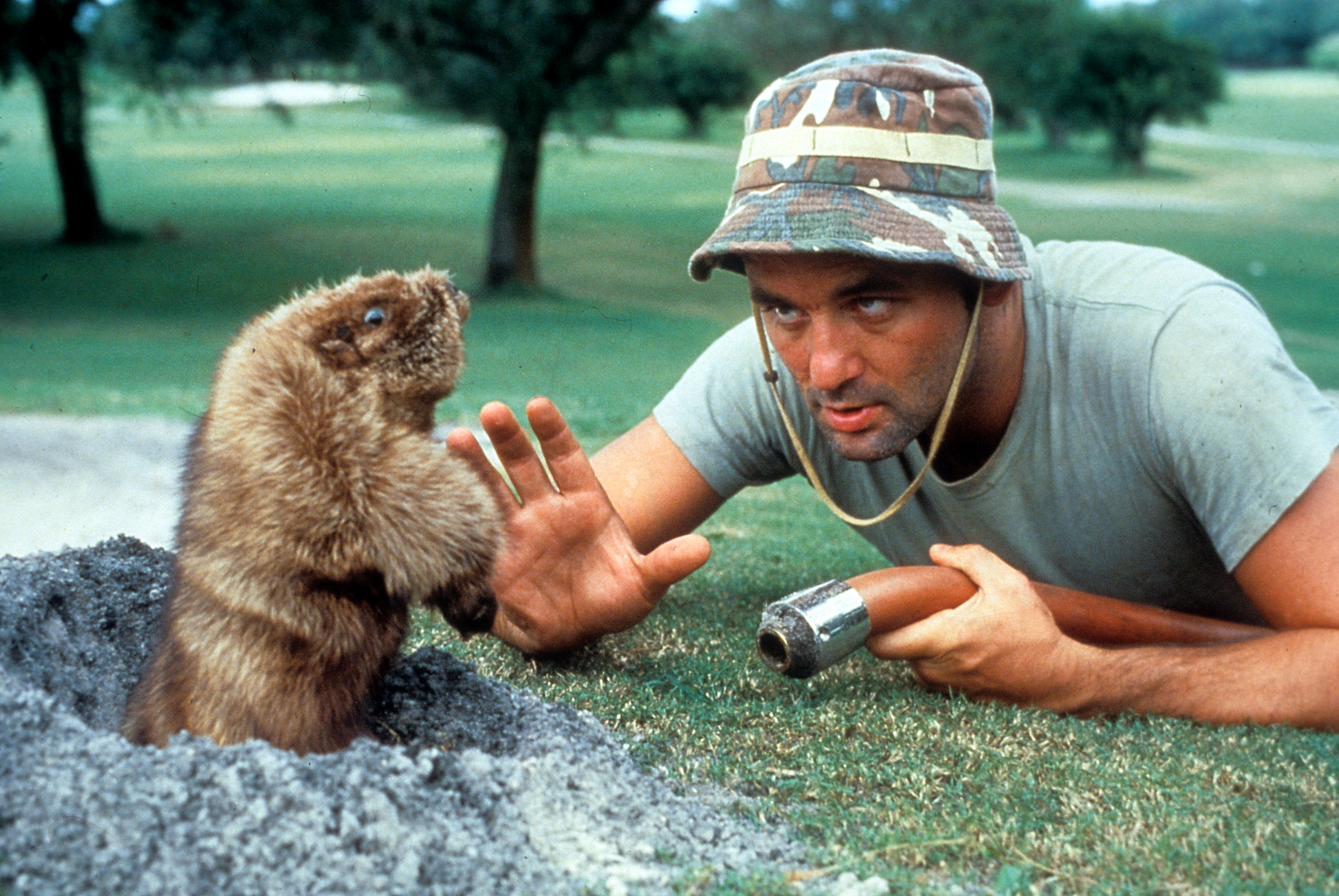 Carl Spackler: Why is This Character Still Famous Today? Check This Out!