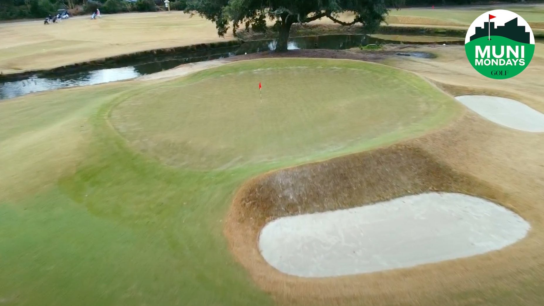 Charleston Municipal Golf Course Review: Is This Public Course Worth Your Time?