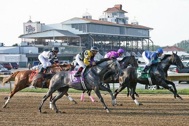 Ellis Park Race Track: Bet, Win, and Cheer - Lets Go
