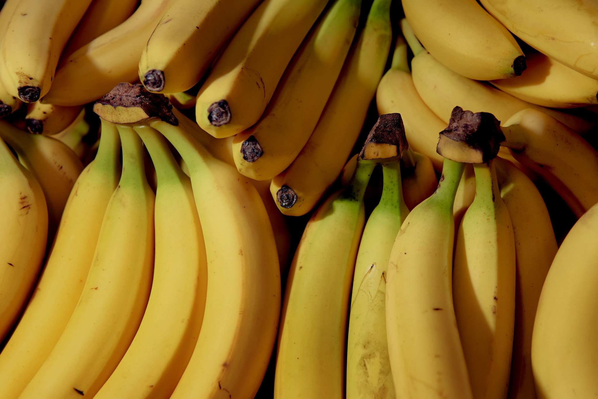 Why is banana head so popular? Discover the secrets now!
