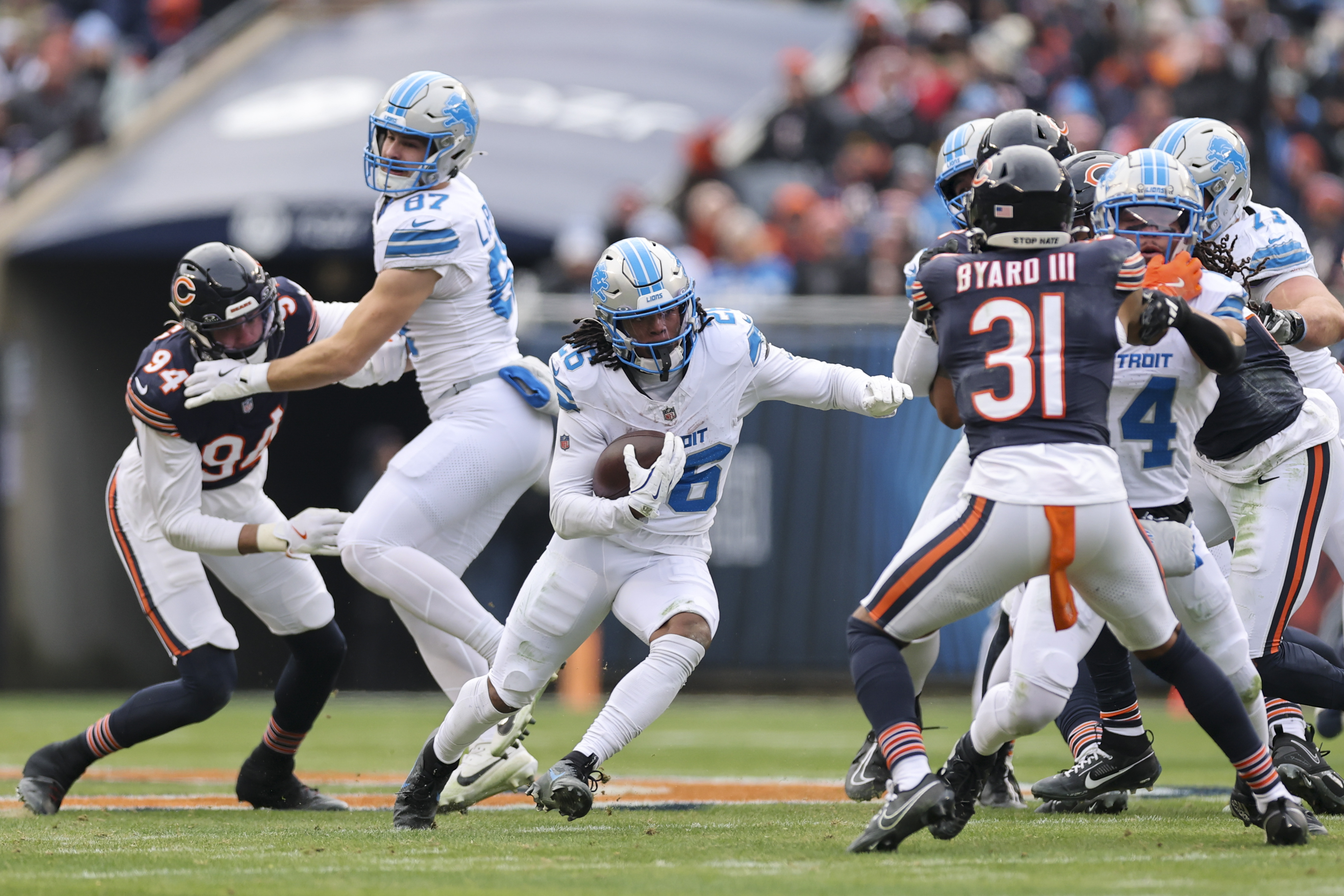 What Seed Are The Lions: Simple Explanation for Everyone to Grasp Now!